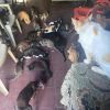 IMG-20260508-WA0014