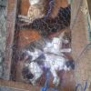 IMG-20260528-WA0018