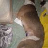 IMG-20260528-WA0030
