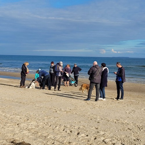 tl_files/fiffifeger/content/fotos/Textbilder/Was machen die Fiffi Feger so/2025-10-05 Strand.jpg