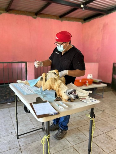 tl_files/fiffifeger/content/fotos/Textbilder/Was passiert mit den Spenden/Nic 1 20250307.jpg