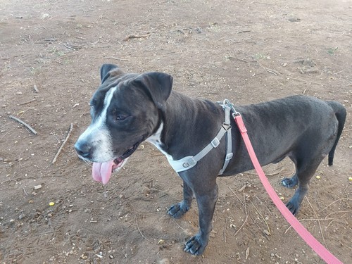 tl_files/fiffifeger/content/fotos/Textbilder/Was passiert mit den Spenden/Nic 3 20251228.jpg