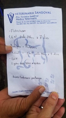 tl_files/fiffifeger/content/fotos/Textbilder/Was passiert mit den Spenden/Nic 6 20251109 Erstversorgung Fundtier.jpg